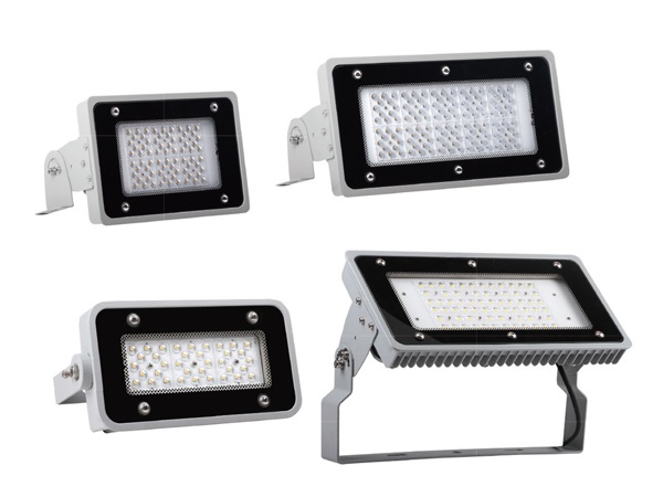 LED Flood Light